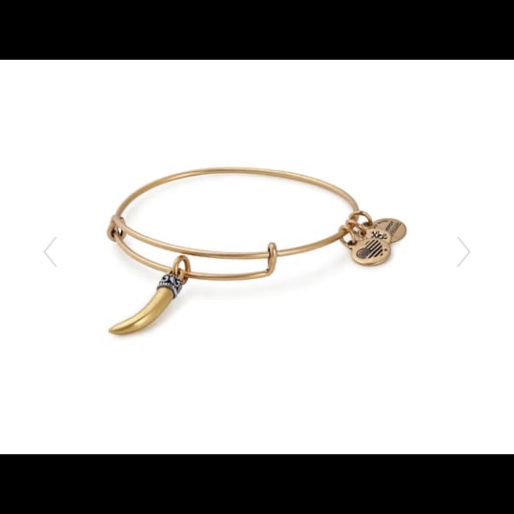 Alex and Ani Horn Charm Expandable Wire Bracelet